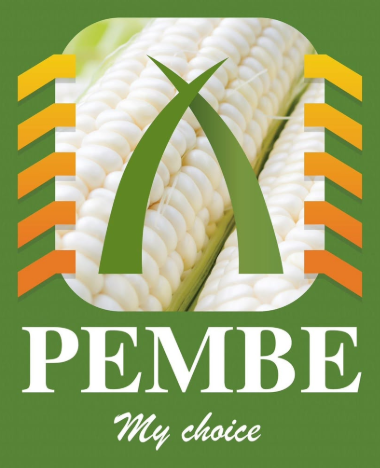 Pembe Zambia